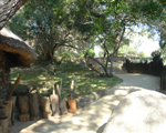 Londolozi